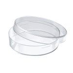Transparent Glass Petri Dish – Large