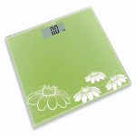 Camry Digital color Weight Scale