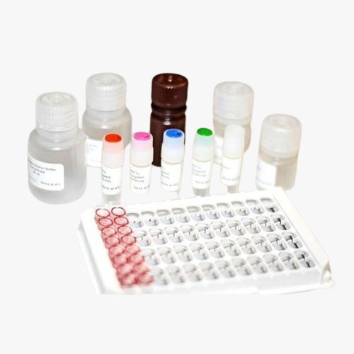 elisa-28.jpg Chlamydia trachomatis IgM Reagent – Jaj International - Image 1