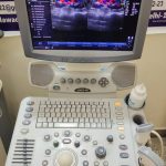 GE Logiq P5 Ultrasound Machine