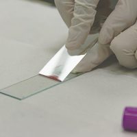 Pathology/ Laboratory