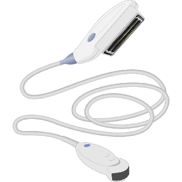 GE Healthcare__1_8C-RS GE 8C-RS Probe – Endocavitary Ultrasound Probe - Refurbished - Image 1