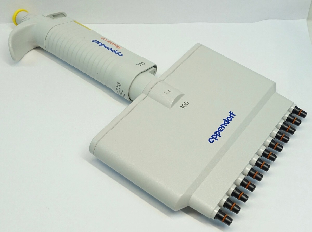 s-l1200 Eppendorf 12 Channel Micropipette 30–300 µL (Multi Channel) - Image 1